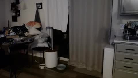 Snapshot of fishcatcherj chatting on 6, 6, 2026 fishcatcherj online show from 6, 6, 2026