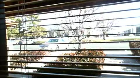 Snapshot of fit_hung_sub chatting on 9, 1, 2025 pain slut daren online show from 9, 1, 2025