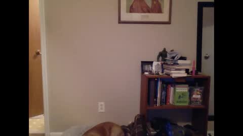 Snapshot of fitbit90 chatting on 9, 3, 2025 FitBit online show from 9, 3, 2025