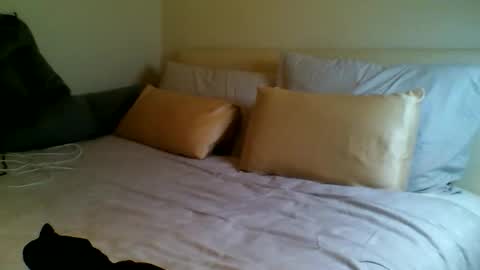 Snapshot of fitbut chatting on 15, 9, 2025 Fitbut online show from 15, 9, 2025