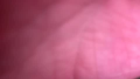 Snapshot of fittallhungdilf chatting on 20, 12, 2024 fittallhungdilf online show from 20, 12, 2024