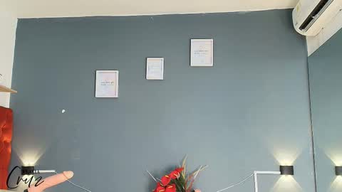 Snapshot of flavia_cruz chatting on 4, 11, 2025 Flavia online show from 4, 11, 2025