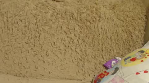 Snapshot of flowercandydoll13 chatting on 26, 12, 2024 say meow and send tip online show from 26, 12, 2024