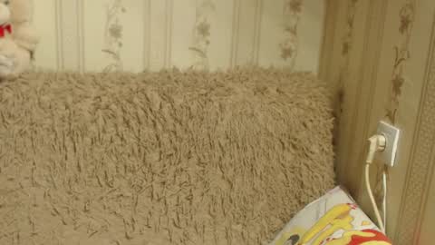 Snapshot of flowercandydoll13 chatting on 17, 1, 2025 say meow and send tip online show from 17, 1, 2025