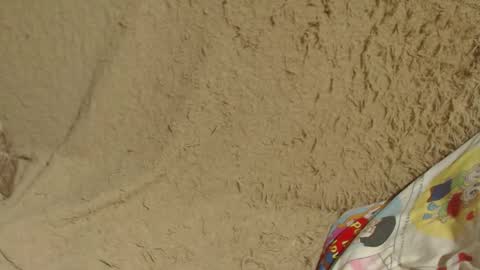 Snapshot of flowercandydoll13 chatting on 26, 1, 2025 say meow and send tip online show from 26, 1, 2025