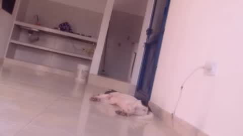 emely and felix online show from 27, 12, 2024