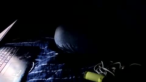 Snapshot of forestnymphpdx chatting on 22, 10, 2025 forestnymphpdx online show from 22, 10, 2025