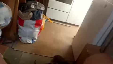 Snapshot of fouducu chatting on 16, 3, 2026 Fouducu online show from 16, 3, 2026