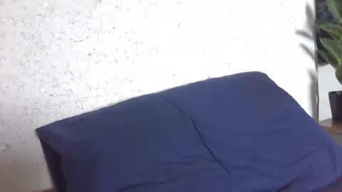 Snapshot of fox_red_lady7 chatting on 8, 3, 2025 fox_red_lady7 online show from 8, 3, 2025