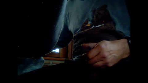 fra  71 online show from 8, 3, 2026