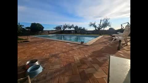 fra  71 online show from 27, 3, 2026