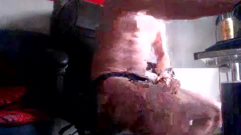 Snapshot of fred1051 chatting on 28, 2, 2026 yo online show from 28, 2, 2026