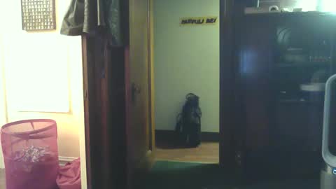 fred_spooner2 online show from 25, 10, 2025