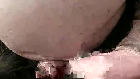 Snapshot of fredaldavid chatting on 28, 1, 2025 David Fredal online show from 28, 1, 2025