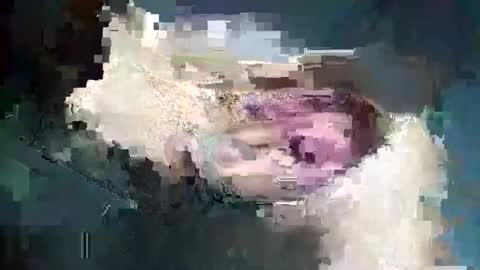 Snapshot of fredddy05 chatting on 25, 11, 2025 fredddy05 online show from 25, 11, 2025