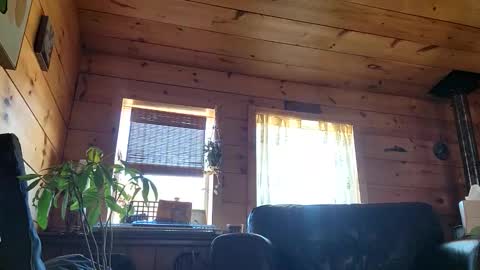 Anderson fz online show from 1, 3, 2026