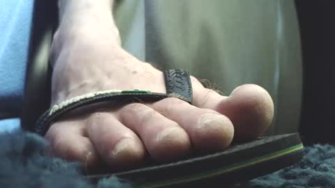 Greedy Fred online show from 20, 3, 2026