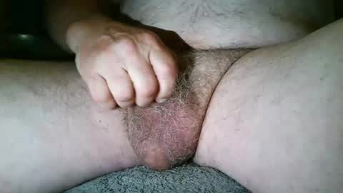 free_amos online show from 7, 7, 2026