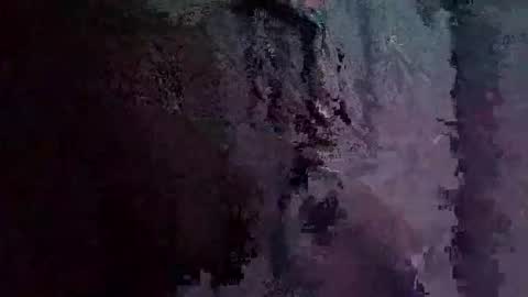 Snapshot of freeliv331874 chatting on 17, 11, 2025 freeliv331874 online show from 17, 11, 2025