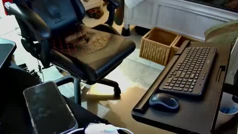 freespirt2 online show from 1, 11, 2025