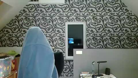 Snapshot of frenchfrieswithmayo chatting on 7, 12, 2024 French fries online show from 7, 12, 2024