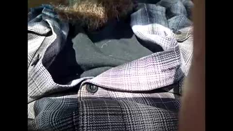 Frickish online show from 21, 1, 2025