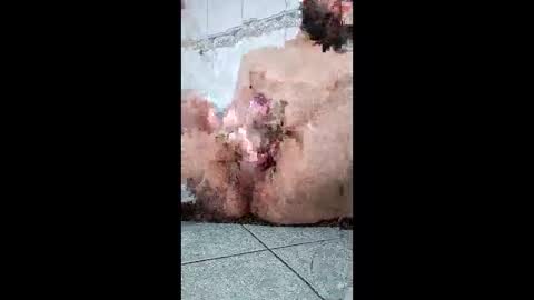 friendshipplus online show from 25, 2, 2026