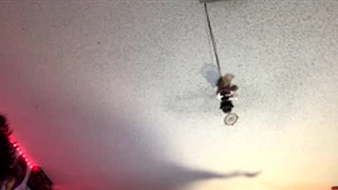 Snapshot of frozen232 chatting on 1, 4, 2026 Fabian online show from 1, 4, 2026