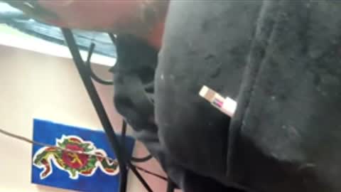 Snapshot of ftm_0 chatting on 17, 12, 2025 ftm_0 online show from 17, 12, 2025