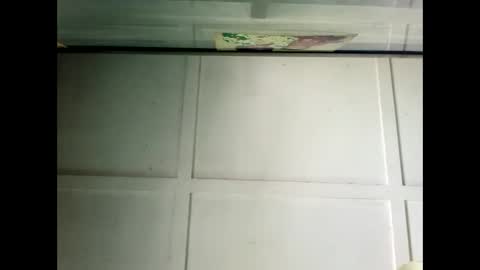 Snapshot of fucmebudoo chatting on 19, 12, 2024 Warwick online show from 19, 12, 2024