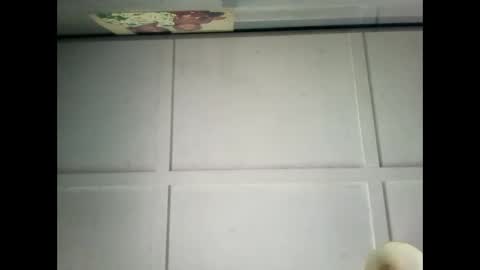 Snapshot of fucmebudoo chatting on 29, 12, 2024 Warwick online show from 29, 12, 2024