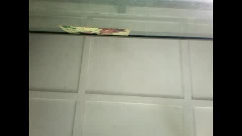 Snapshot of fucmebudoo chatting on 14, 1, 2025 Warwick online show from 14, 1, 2025