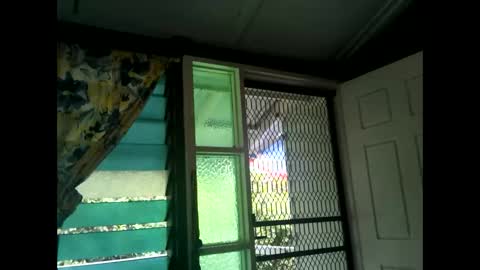 Snapshot of fucmebudoo chatting on 17, 2, 2025 Warwick online show from 17, 2, 2025