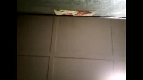 Snapshot of fucmebudoo chatting on 4, 3, 2025 Warwick online show from 4, 3, 2025