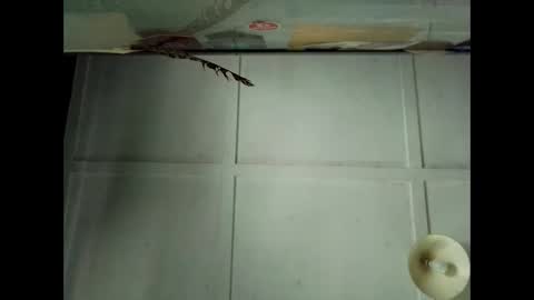 Snapshot of fucmebudoo chatting on 4, 10, 2025 Warwick online show from 4, 10, 2025