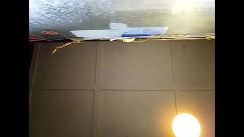 Snapshot of fucmebudoo chatting on 29, 11, 2025 Warwick online show from 29, 11, 2025