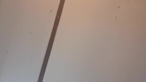 Astrid online show from 3, 4, 2026