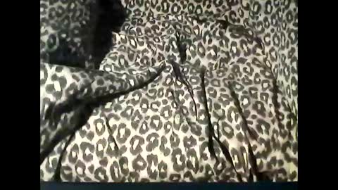 funcyman3 online show from 18, 2, 2025