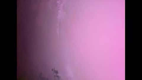 Daniel kim online show from 17, 11, 2025