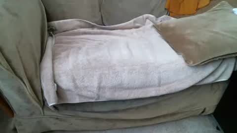 Snapshot of funlovinchub chatting on 8, 2, 2026 funlovinchub online show from 8, 2, 2026