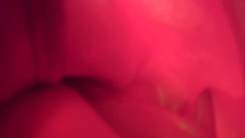 funtimes01234 online show from 10, 11, 2025