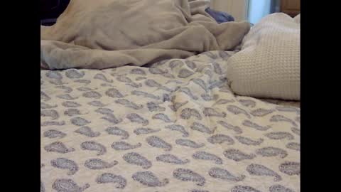 Funtimz16 online show from 9, 3, 2025