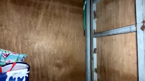 Snapshot of fvckingscarlet chatting on 23, 11, 2025 fvckingscarlet online show from 23, 11, 2025