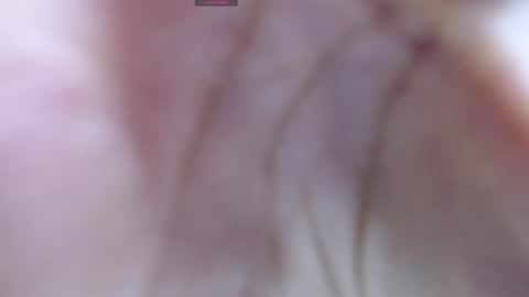 .  online show from 12, 12, 2024