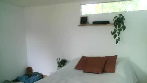 Gael Garca online show from 1, 3, 2026