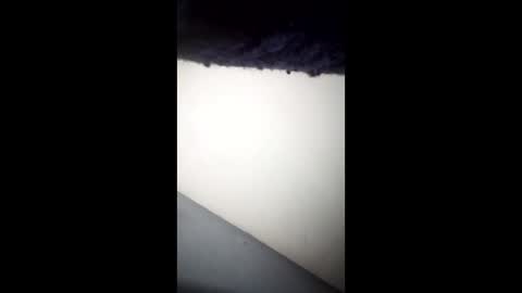 Ganis online show from 26, 4, 2026