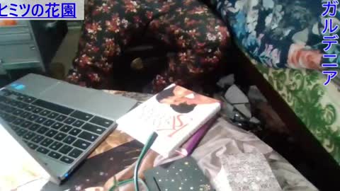 Gardenia online show from 23, 12, 2024