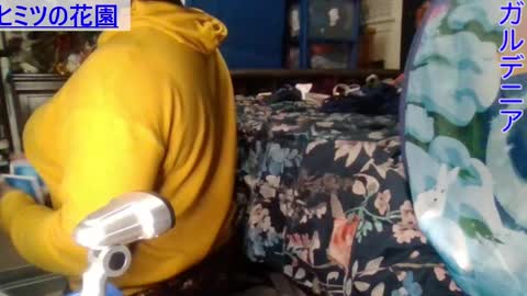 Gardenia online show from 28, 12, 2024