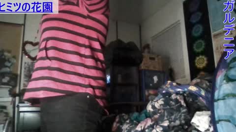 Gardenia online show from 7, 1, 2025