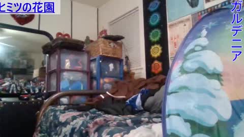 Gardenia online show from 29, 1, 2025